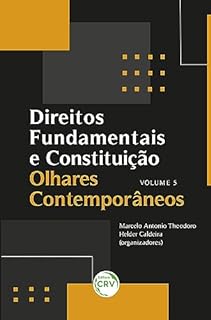 Direitos Fundamentais E Constitui O Olhares Contempor Neos Volume