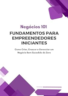 Negócios 101 Fundamentos para Empreendedores Iniciantes Como Criar