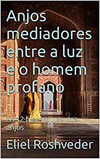 Livro Anjos mediadores entre a luz e o homem profano: As 12 hierarquias dos anjos (Meditação Livro 47)