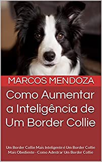 Como Aumentar a Inteligência de Um Border Collie: Um Border Collie Mais Inteligente é Um Border Collie Mais Obediente - Como Adestrar Um Border Collie