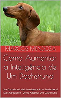 Livro Como Aumentar a Inteligência de Um Dachshund: Um Dachshund Mais Inteligente é Um Dachshund Mais Obediente - Como Adestrar Um Dachshund