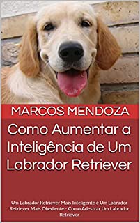 Livro Como Aumentar a Inteligência de Um Labrador Retriever: Um Labrador Retriever Mais Inteligente é Um Labrador Retriever Mais Obediente - Como Adestrar Um Labrador Retriever