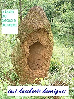 Livro O baile da Pedra e do Sapo