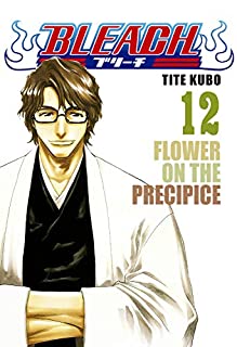 Livro Bleach vol. 12