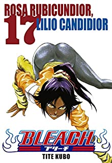 Livro Bleach vol. 17