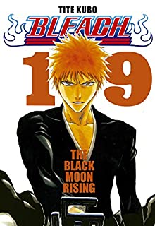 Livro Bleach vol. 19