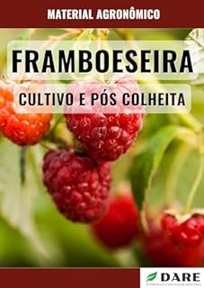 Livro CULTIVO E PÓS COLHEITA DA FRAMBOESA