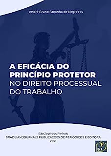 Livro A eficácia do princípio protetor no direito processual do trabalho - 1ª Edição