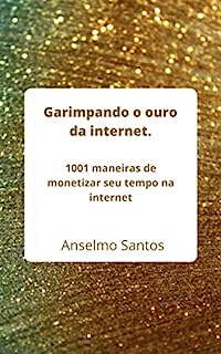 Garimpando o ouro da internet.: 1001 maneiras de monetizar o seu tempo na internet.