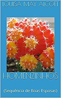 Livro HOMENZINHOS: (Sequência de Boas Esposas)