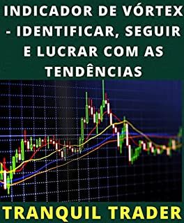 Livro INDICADOR DE VÓRTEX - IDENTIFICAR, SEGUIR E LUCRAR COM AS TENDÊNCIAS