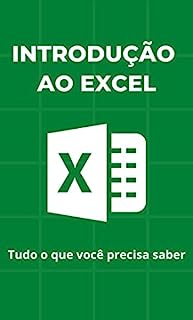 Livro Introdução ao Excel: Tudo o que você precisa saber