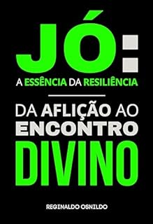 Livro Jó: a essência da resiliência - da aflição ao encontro divino (Heróis nas narrativas bíblicas)