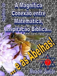 Livro A MAGNÍFICA CONEXÃO ENTRE MATEMÁTICA, INSPIRAÇÃO BÍBLICA E... ABELHAS!!! (ENCICLOPÉDIA ARQUIVO7 Livro 24)