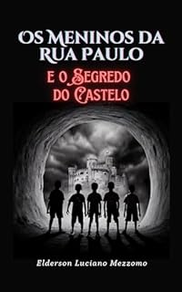 Livro Os Meninos da Rua Paulo e o Segredo do Castelo