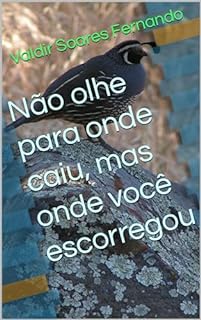 Livro Não olhe para onde caiu, mas onde você escorregou