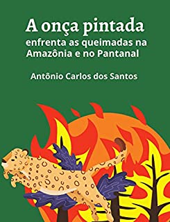 Livro A onça pintada enfrenta as queimadas na Amazônia e no Pantanal (Coleção Mundo Contemporâneo Livro 2)