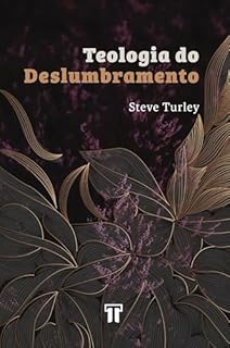 Livro Teologia do Deslumbramento