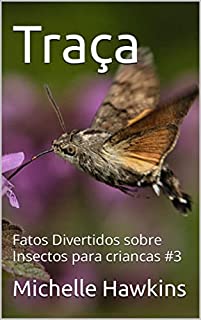 Livro Traça: Fatos Divertidos sobre Insectos para criancas #3 (Fatos Divertidos sobre Insectos para Crianças)